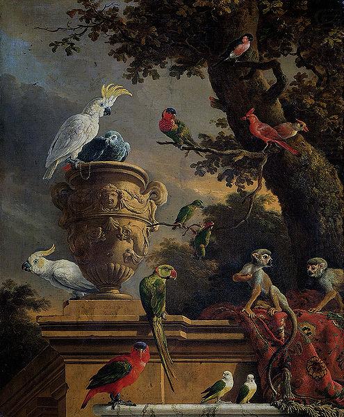 Melchior de Hondecoeter The Menagerie china oil painting image